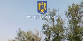 FOTO Controale la firmele de dezmembrări auto / Amenzi de peste 750.000 lei, dosare penale, confiscări de deșeuri și componente auto