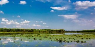 Fragmente de dronă rusească, găsite în Delta Dunării