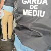 garda mediu
