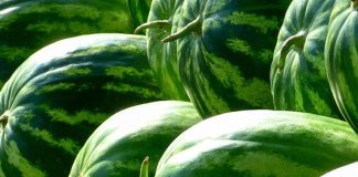 Canicula ieftinește pepenii: vremea toridă aduce prețuri mai mici la tarabe