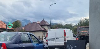 Au pus o ladă cu pere, gratis, pentru șoferii care stăteau într-o coadă kilometrică, pe un drum național / Ce surpriză au avut producătorii fructelor