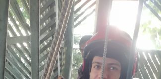 Pisică salvată de pompieri, după ce a căzut într-o fântână
