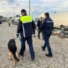 politie adjud