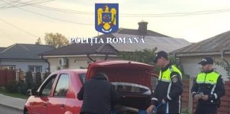 ”Recolta” polițiștilor vrânceni după descinderile în Gugești, Tâmboești și Slobozia Bradului