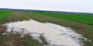 Amendă de 100.000 lei de la Garda de Mediu pentru ”mirosuri pestilențiale” în zona de sud a județului