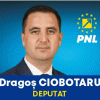 PNL Parlamentari 300×250 cu CMF