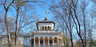 ULTIMA ORĂ Exit-poll (parțial): ce candidați se vor confrunta în turul al doilea al alegerilor prezidențiale