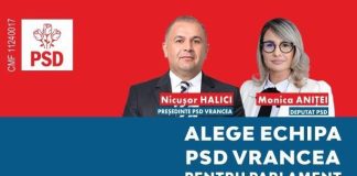 VIDEO Monica Raluca Aniței, candidat PSD Vrancea la Camera Deputaților