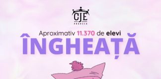 Protest al elevilor focșăneni, cu pături și mănuși, față de frigul din școli și grădinițe