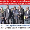 carton enet