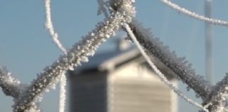 Vreme geroasă, precipitații, vânt și polei până marți