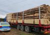 Controale pe linie silvică: amenzi și confiscări de material lemnos