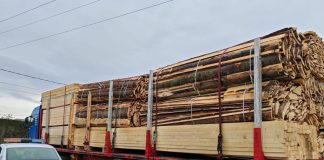 Controale pe linie silvică: amenzi și confiscări de lemne