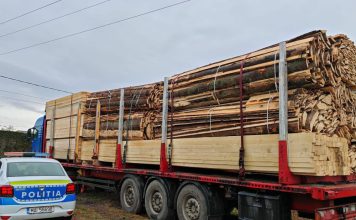 Controale pe linie silvică: amenzi și confiscări de material lemnos