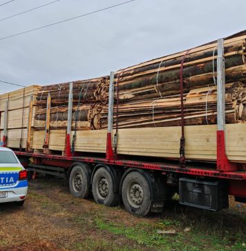 Controale pe linie silvică: amenzi și confiscări de material lemnos