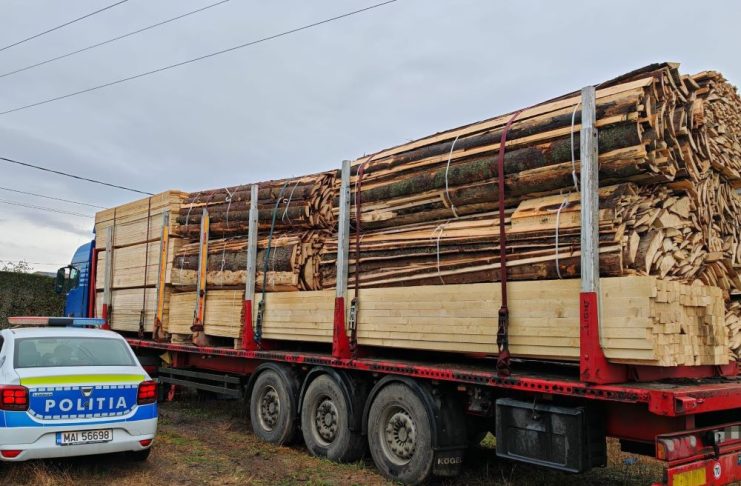 Controale pe linie silvică: amenzi și confiscări de material lemnos