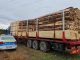 Controale pe linie silvică: amenzi și confiscări de material lemnos