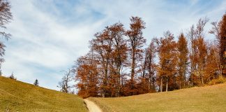 Meteo: vremea până la jumătatea lunii decembrie