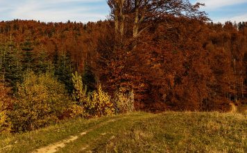 Meteo: vremea în prima parte a lunii decembrie