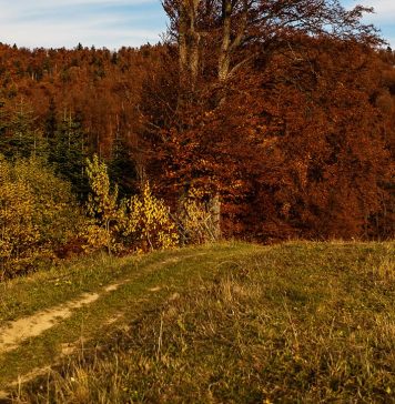 Meteo: vremea în prima parte a lunii decembrie