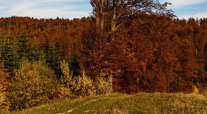 Meteo: vremea în prima parte a lunii decembrie