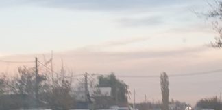 ULTIMA ORĂ Trafic blocat pe E85, la Domnești, după ce s-au ciocnit două autocamioane