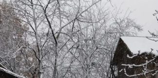 Alerte de vânt și ninsori, în special în zona montană