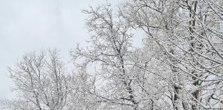 Meteo: alerte de ger, polei și vânt până la mijlocul săptămânii viitoare