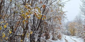 Avertizări meteo de vânt și viscol în zilele de Crăciun