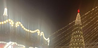 FOTO: Trăiri de Ziua Internațională a Persoanelor cu dizabilități