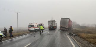 ULTIMA ORĂ: Un șofer a murit după ce mașina lui s-a lovit de un camion la Tișița