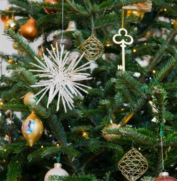 Dragoș Ciobotaru, deputat PNL Vrancea: La Mulți ani!