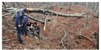 Bărbatul rănit de un arbore, la Negrilești, transportat la spital cu elicopterul SMURD