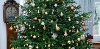 VIDEO Mesajul de Crăciun adresat românilor de Majestatea Sa Custodele Coroanei