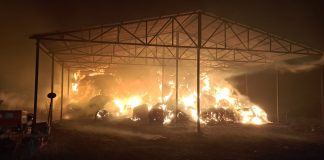 FOTO: Depozit de plante furajere din Țifești, mistuit de flăcări