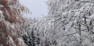 Ploaie, lapoviță și ninsoare până mâine la prânz