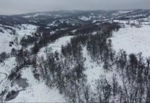 Poliția Vrancea, despre cazul bărbatului găsit decedat în pădure