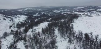 Poliția Vrancea, despre cazul bărbatului găsit decedat în pădure