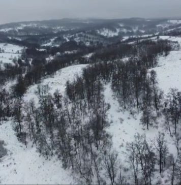 Poliția Vrancea, despre cazul bărbatului găsit decedat în pădure