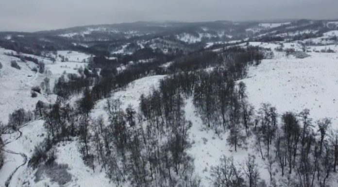 Meteo: vreme oscilantă la final de ianuarie și început de februarie