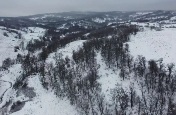 Poliția Vrancea, despre cazul bărbatului găsit decedat în pădure