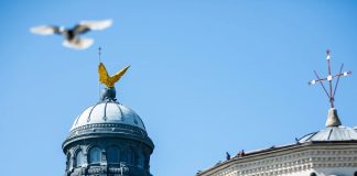 Patriarhia Română: Biserica promovează pacea şi unitatea, nu protestele şi dezbinarea