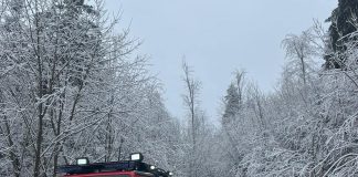 Bărbat lovit de un copac, la Negrilești