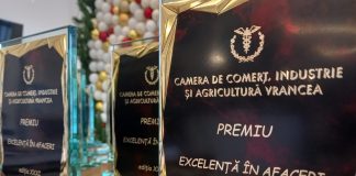 Cursuri gratuite de formare profesională organizate de Camera de Comerț / Domenii și condiții