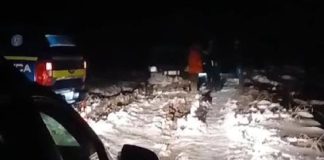 Omul de afaceri Victor Roman, trimis în judecată după accidentul mortal de la vânătoarea din decembrie 2024