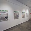 expozitie