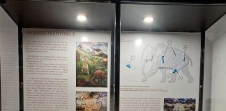 Expoziție inedită la Muzeul de Arheologie și Istorie Medievală din Focșani