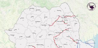CNIR: 270 km de autostradă și drum expres în licitații de 38 miliarde lei, în primele 10 luni de mandat
