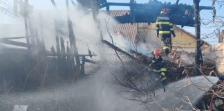 Cinci incendii în prima zi a săptămânii / Au ars vegetație uscată, culturi și utilaje agricole