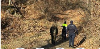 Controale în sectorul silvic, încheiate cu amenzi și confiscări